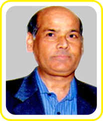 Mr. Anami N. Roy - Independent Director at Finolex